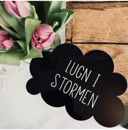 Lugn i stormen - Agnes Wessman